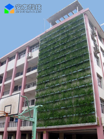 武汉七一中学墙面绿化工程效果图