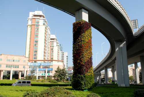 武汉桥柱绿化