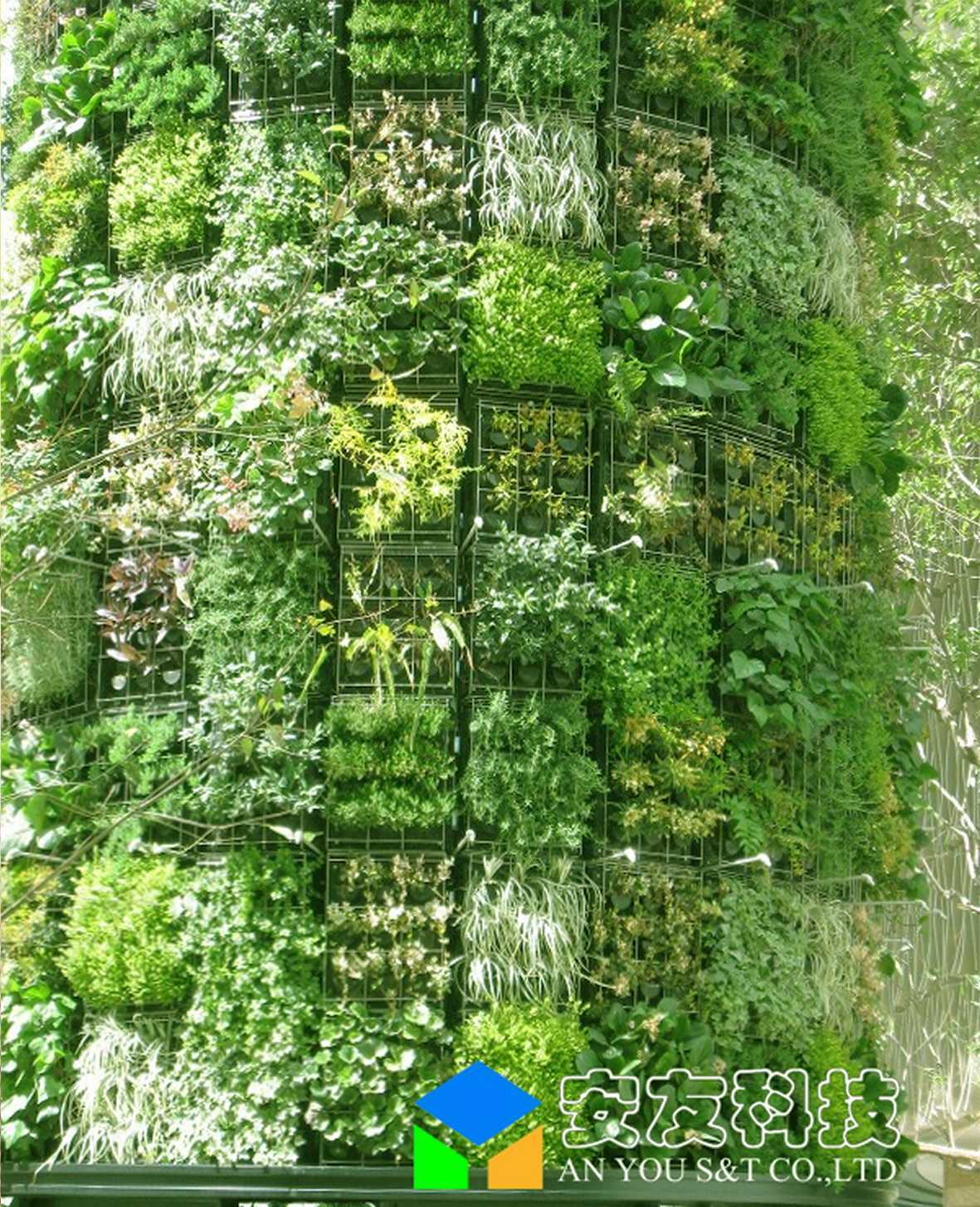武汉万松园墙面绿化