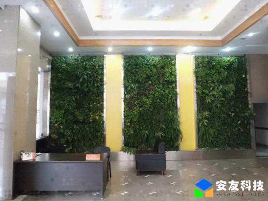 武汉城管局室内绿化