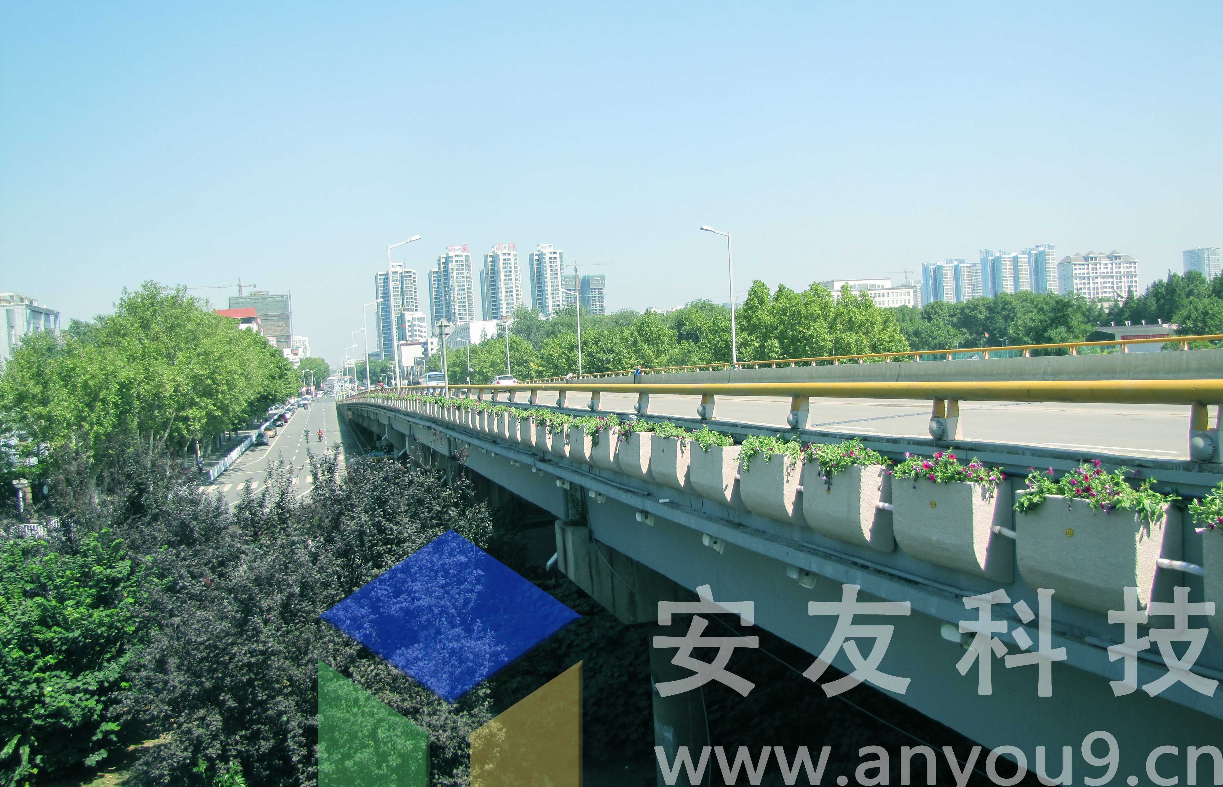 淮南高架桥绿化工程