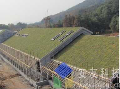 武汉三环线斜坡屋顶绿化工程