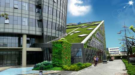 上海金桥斜坡屋顶绿化工程