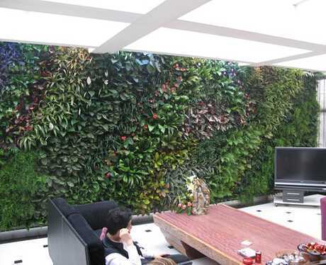 武汉高尔夫会所室内植物生态墙