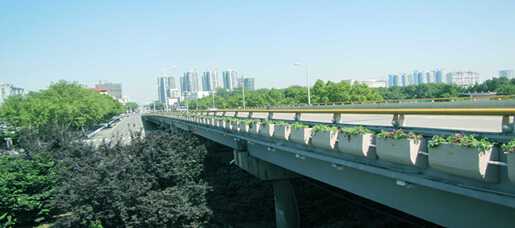 安徽高架桥垂直绿化