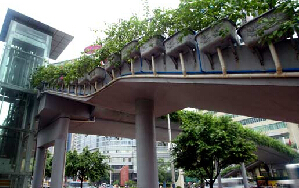 广州高架桥垂直绿化