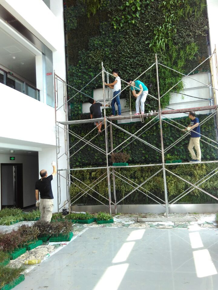 武汉市政科技研发中心拼块式植物墙