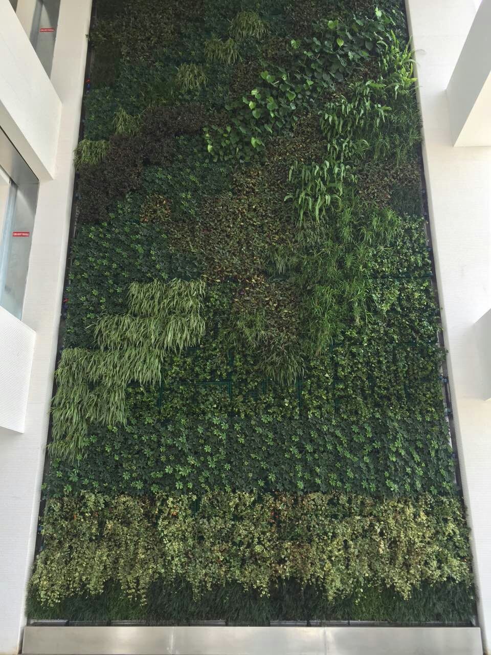 武汉市政科技研发中心拼块式植物墙