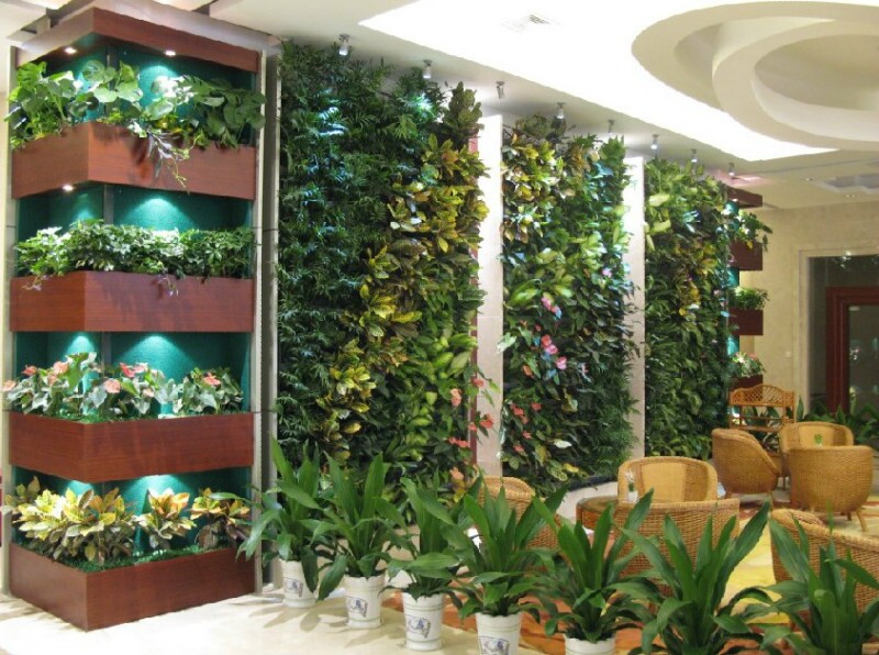植物墙养护
