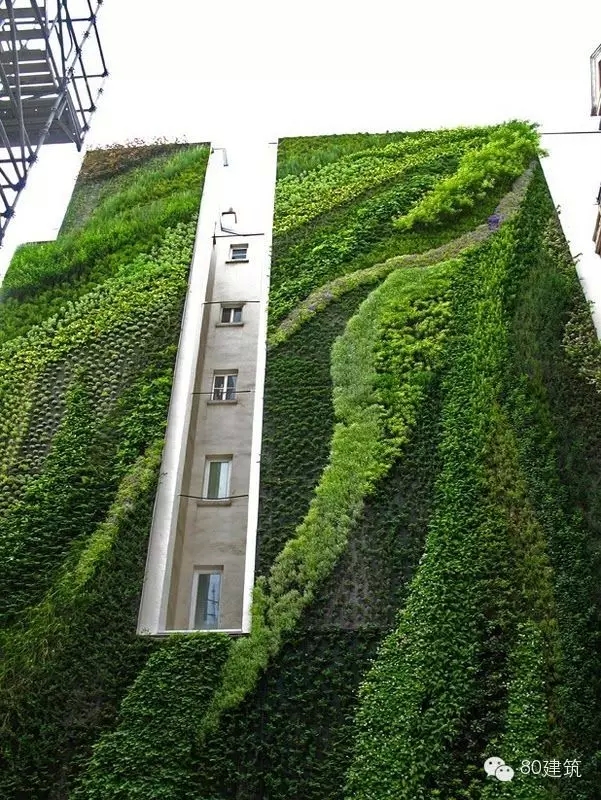 立体绿化植物墙面