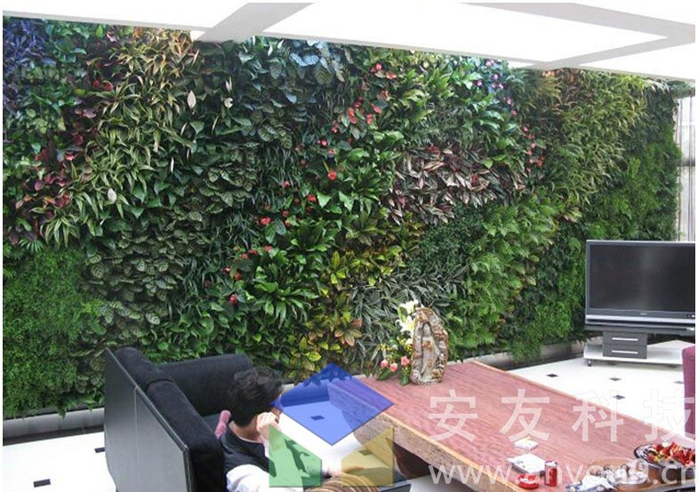 高尔夫会所室内植物生态墙