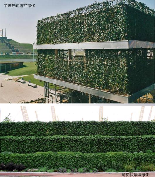 垂直绿化墙效果图