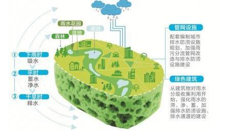 海绵城市结构示意图