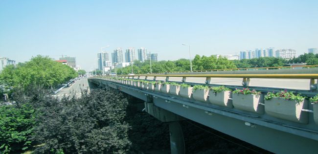 昆明高架桥绿化